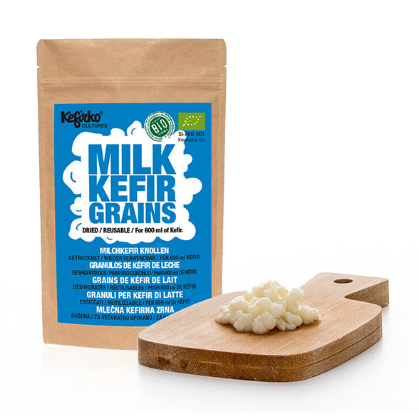 Milk Kefir Grains Live Fresh Mesophilic Starter to Make
